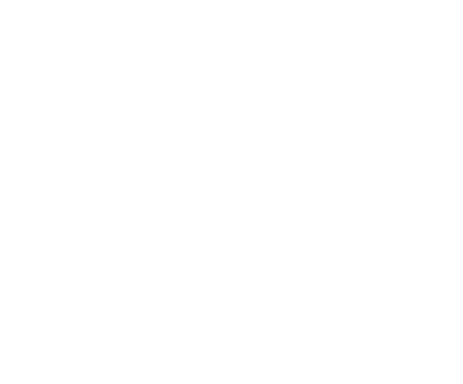 Serve icon